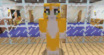 Mr Stampy Cat