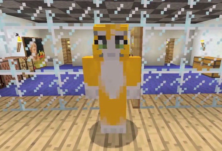 Mr Stampy Cat