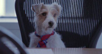 Red Bee Dog CEO sitcom